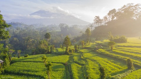 Séjour Bali